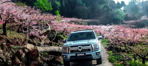 2.0T+6AT黄金动力 10万元级自动挡皮卡金刚炮助力智慧农业创富
