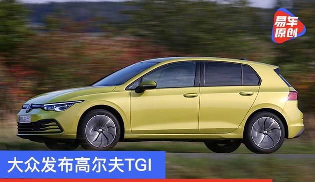 大家公布高尔夫球TGI 燃气续航力400千米/能用双燃料