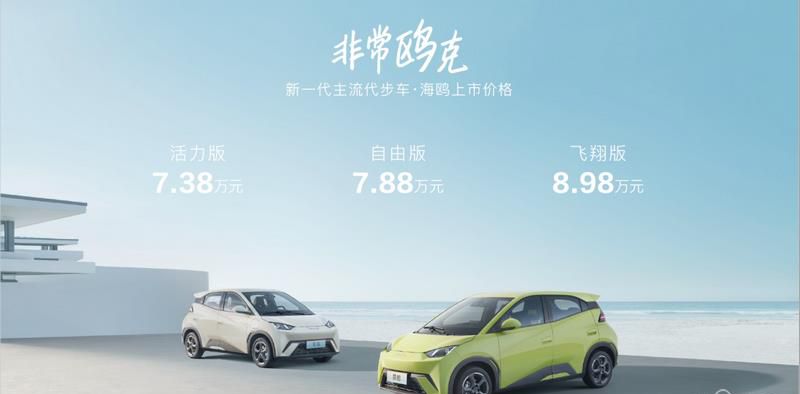 比亚迪海鸥上市，十二项全系标配，售价7.38万元-8.98万元