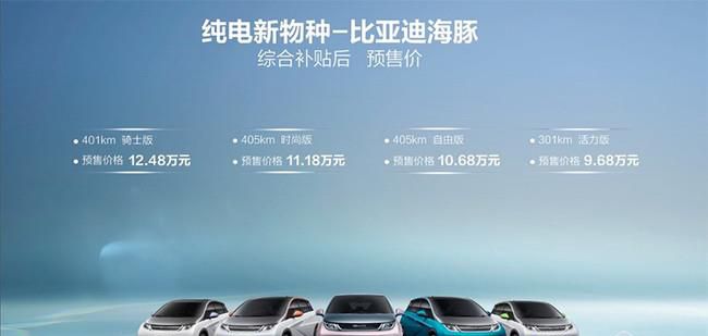 比亚迪海豚开启预售 预售价9.68-12.48万元