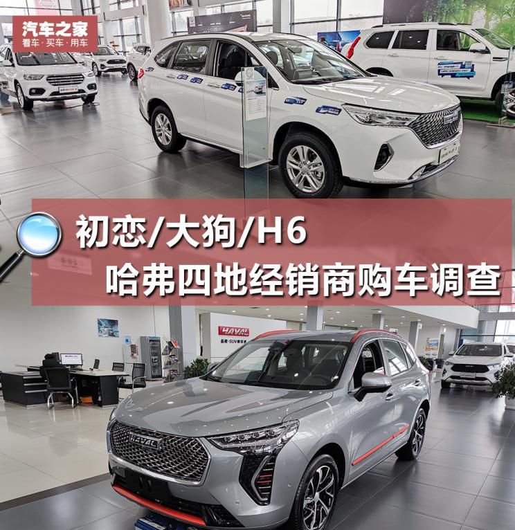 调查：初恋一车难求 H6至高优惠2.5万元