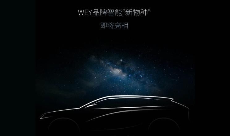 1月20日亮相 WEY发布全新SUV预告图