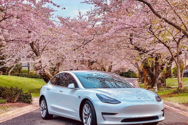 总投入约11亿人民币 日本购买纯电汽车补贴翻倍