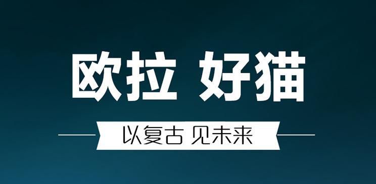 猫系家族再添新丁 欧拉新车定名好猫