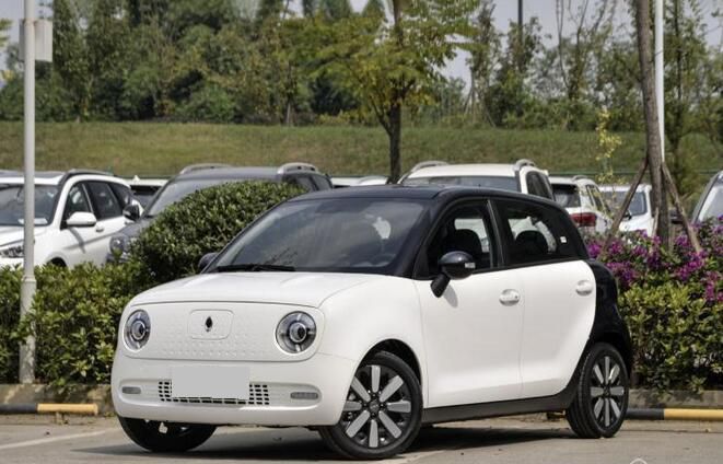 续航251km 欧拉R1将推出更入门版本车型