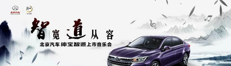售价7.99万元起 剑指B级车市场 绅宝智道上市